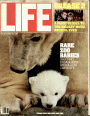 6/1/1982 Zoo nursery