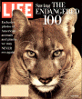 9/1/1994 Endangered animals