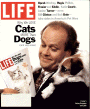 10/1/1994 Cats vs dogs