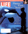 LIFE960301.gif 3/1/1996 Freeing a whale - Image 1