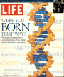 4/1/1998 Obesity