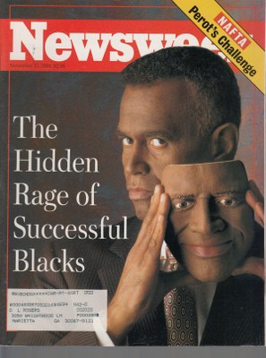 11/15/1993 The Hidden Rage of Successful Blacks