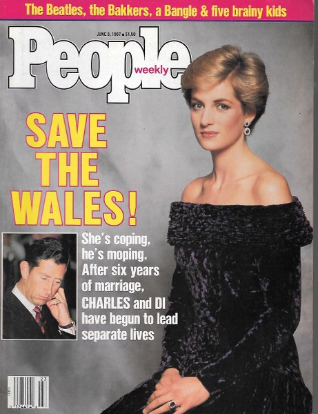 PP870608.jpg 6/8/1987 -save the Wales - Image 1