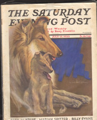 SEP330715.jpg 7/15/193 3 Van Dyck, Howard --- Mother Collie and Pup - Image 1