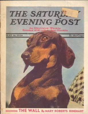 SEP380514.jpg 5/14/193 8 Dmitri, Ivan --- Dachshund - Image 1