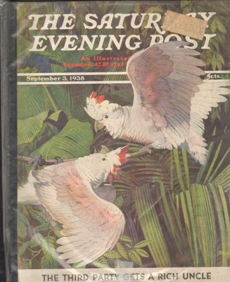 SEP380903.jpg 9/3/193 8 Moessel, Julius --- Two Cockatoos - Image 1