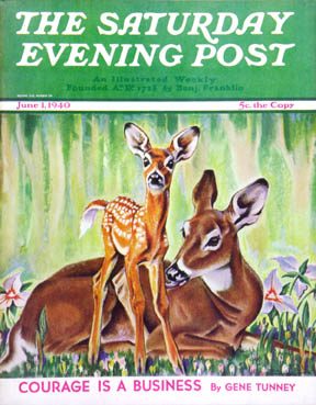 6/1/1940 Bransom, Paul --- Doe and Fawn in Forest