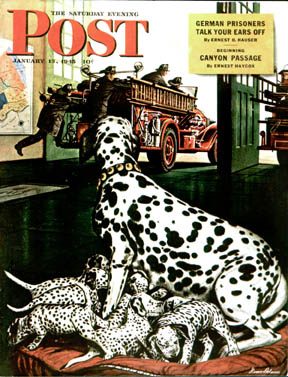 1/13/194 5 Dohanos, Stevan --- Dalmatian and Pups