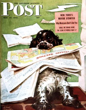 SEP470531.jpg 5/31/194 7 Staehle, Albert --- Butch and the Sunday Paper - Image 1
