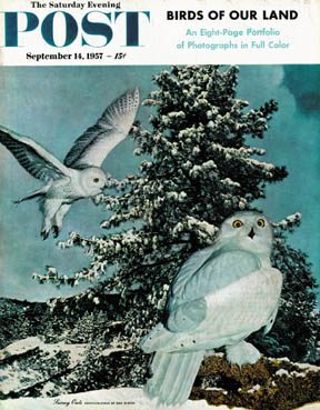 9/14/195 7 Bleitz, D. --- Snowy Owls