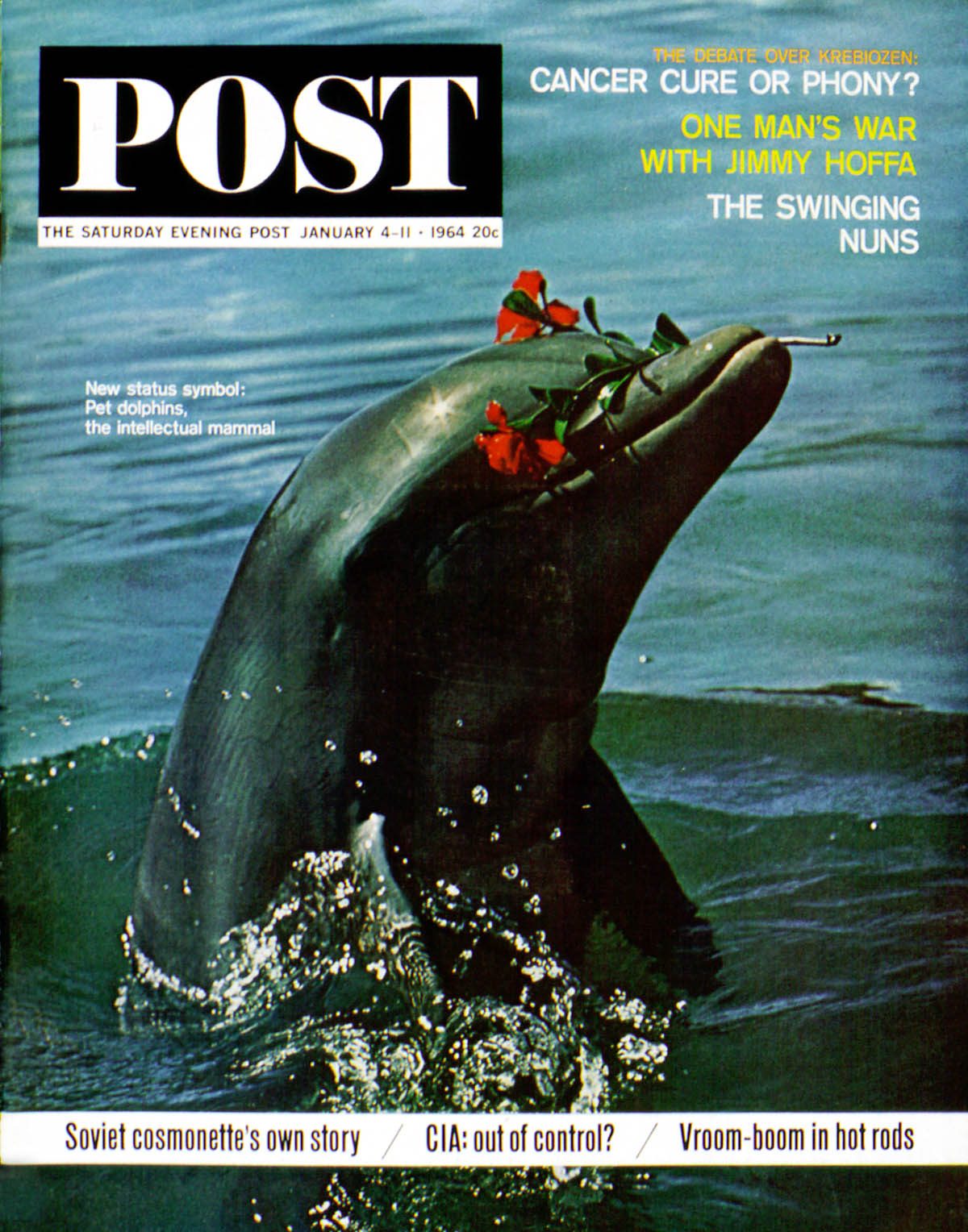 1/4/196 4 Ciampi, Elgin --- Trained Dolphin