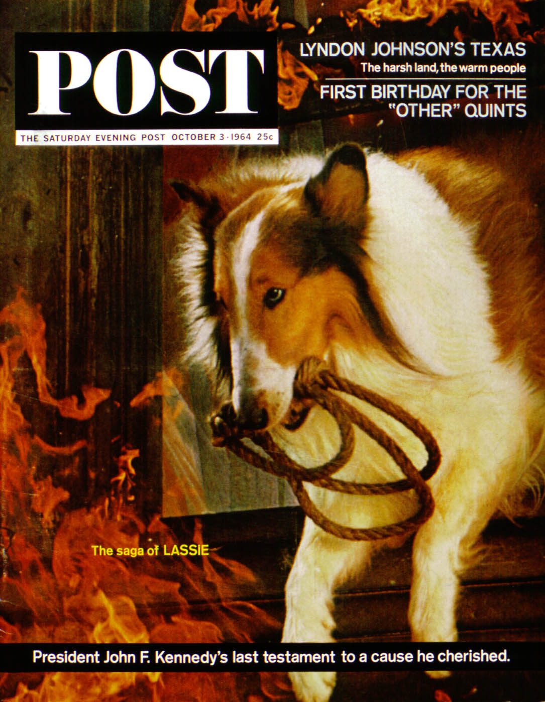 10/3/196 4 Schiller, Lawrence J. --- Lassie ! Get Help!