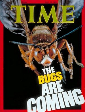 7/12/1976 The Bugs Are coming
