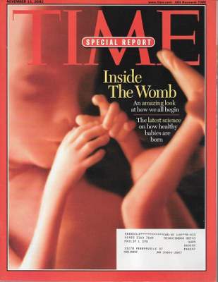 11/11/2000 2 Cover– Inside the Womb
