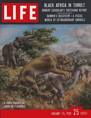 1/26/1959 Evolution drama