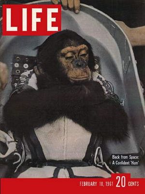 2/10/1961 Astrochimp
