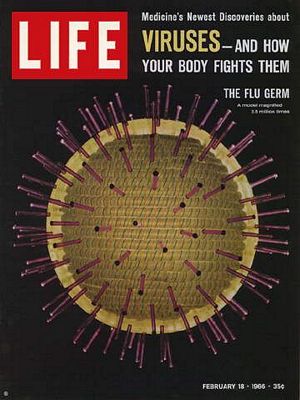2/18/1966 Model of flu germ