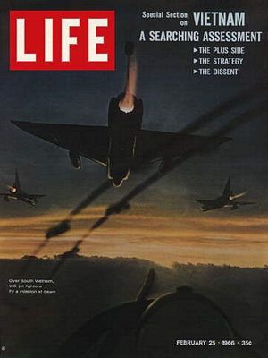 2/25/1966 Vietnam evaluated