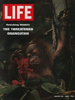 3/28/1969 Vanishing wildlife