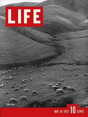 5/24/1937 Spring lamb