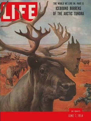 6/7/1954 Arctic barrens