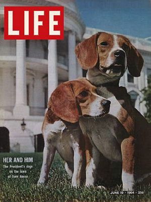 6/19/1964 LBJ''s beagles