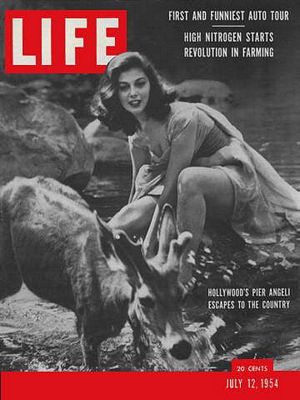 7/12/1954 Pier Angelia