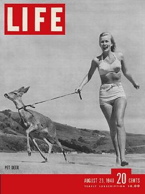 cv082348.jpg 8/23/1948 House pet - Image 1
