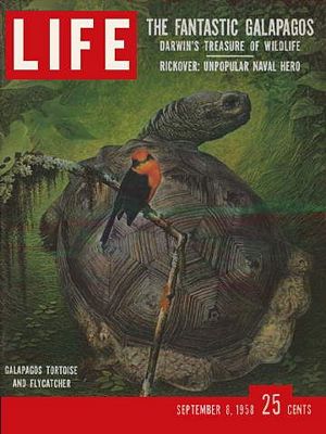9/8/1958 Galapagos