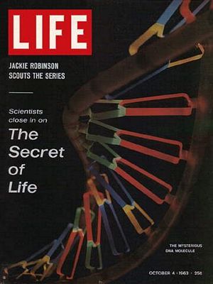 10/4/1963 DNA: key to life