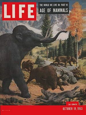 10/19/1953 Age of mammals