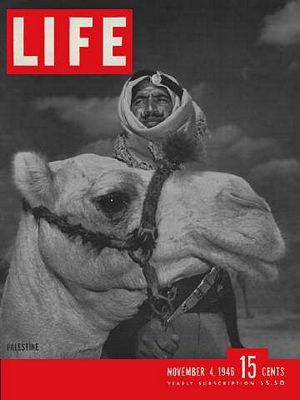 11/4/1946 Palestine
