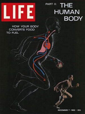 12/7/1962 Digestion